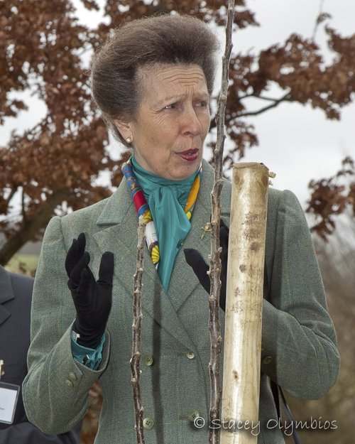 HRH Princess Anne visiting Godmersham, Kent.