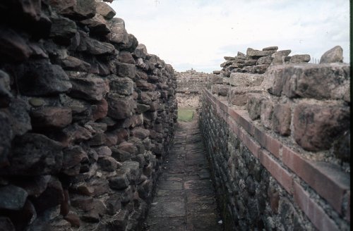 Wroxeter Roman Fort