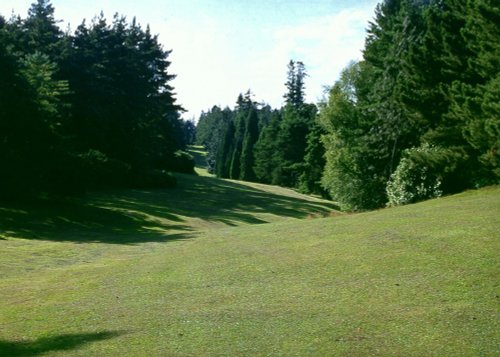 Bedgebury National Pinetum