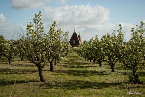 Kent Oast house off Meirscourt Road, Rainham, Kent
