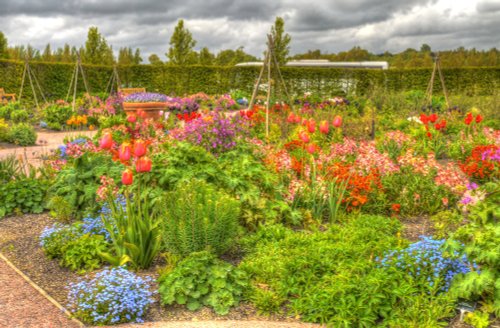Hyde Hall Gardens, Essex