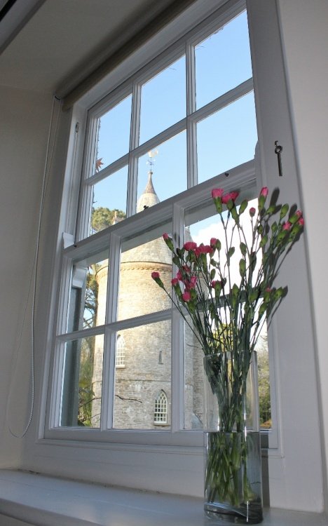 A view from a window