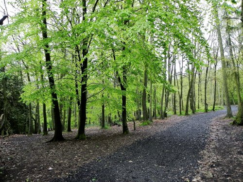 Hartshill Hayes Country Park