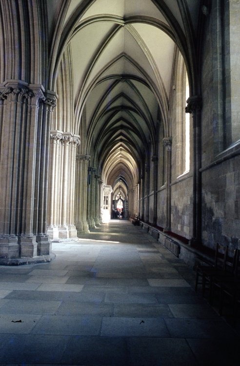 Wells Cathedral