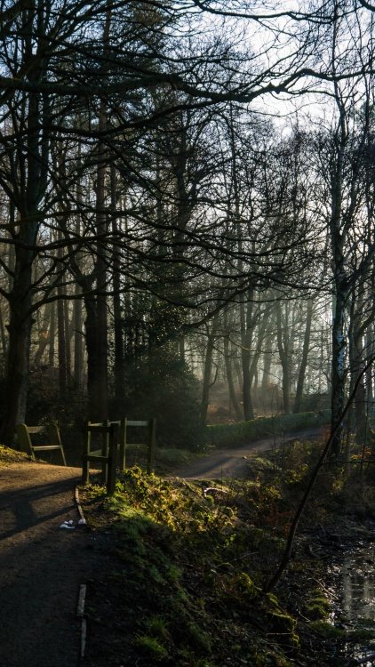 Footpath around the reservoir