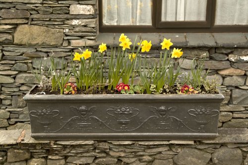Window box Ambleside