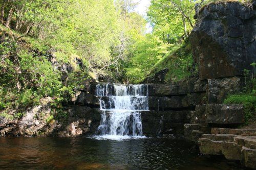 Low Force