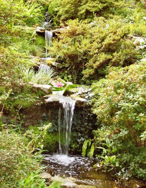 Rock and Water Garden, Compton Acres