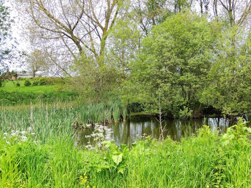 Plantasia Attraction at Dobbies Garden World