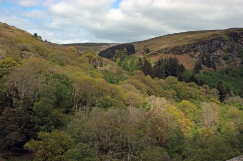 Elan Valley Visitors Centre