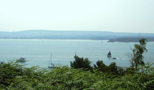 Brownsea Island
