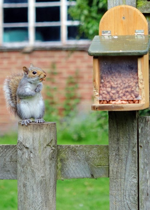Caught in the act, East Farleigh