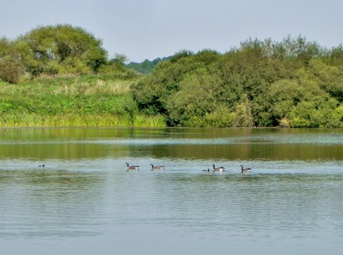 Kingsbury Water Park