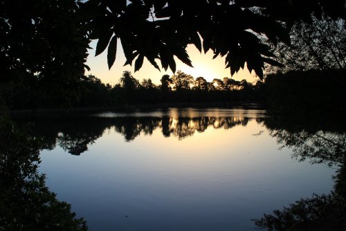 Hartsholme Park, Lincoln