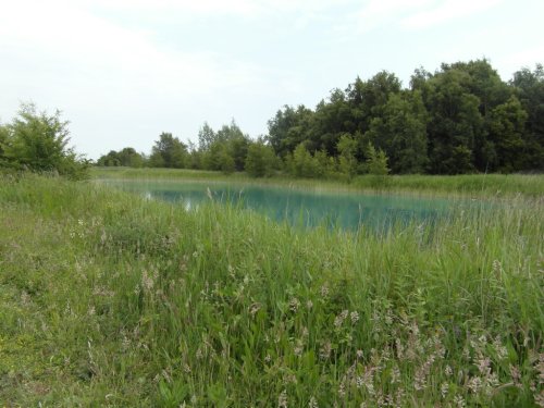 Fowlmead Country Park