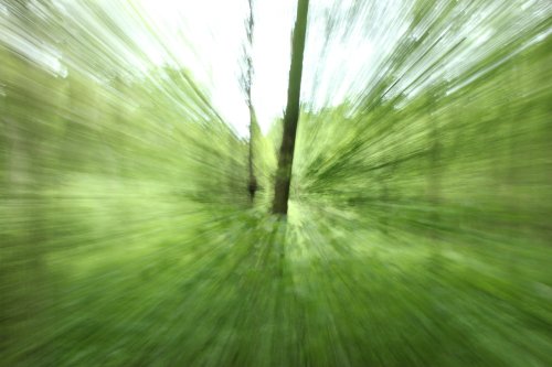 Chambers farm test 2