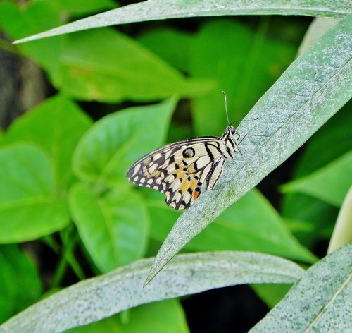 Skegness Natureland Seal Sanctuary