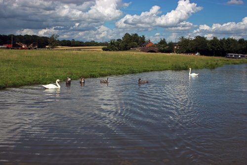 Oxford Canal
