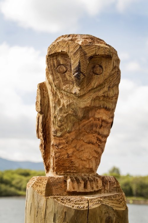Keswick Jetty Owl