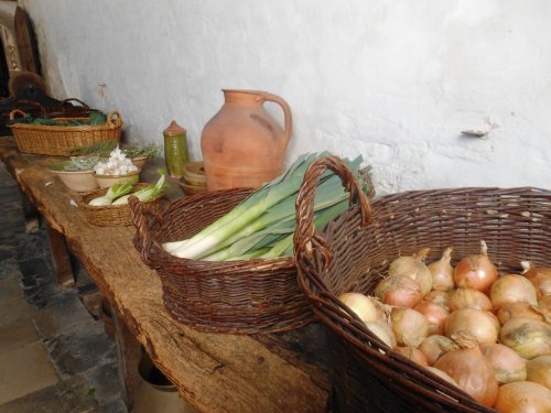 Hampton Court Palace & Gardens