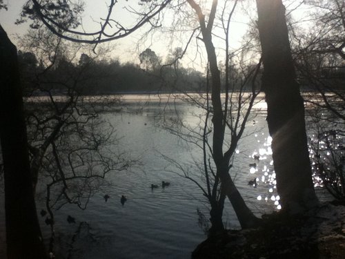 Black Park Country Park