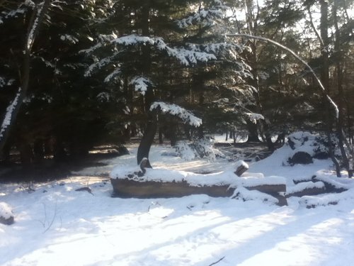 Black Park Country Park