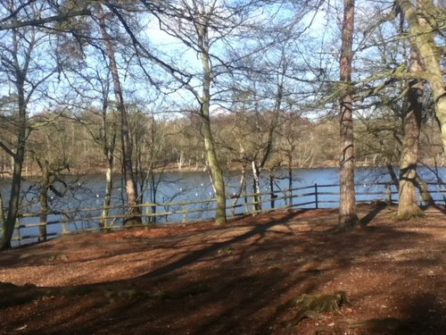 Black Park Country Park