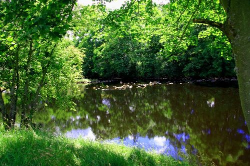 River North Tyne near Bellingham