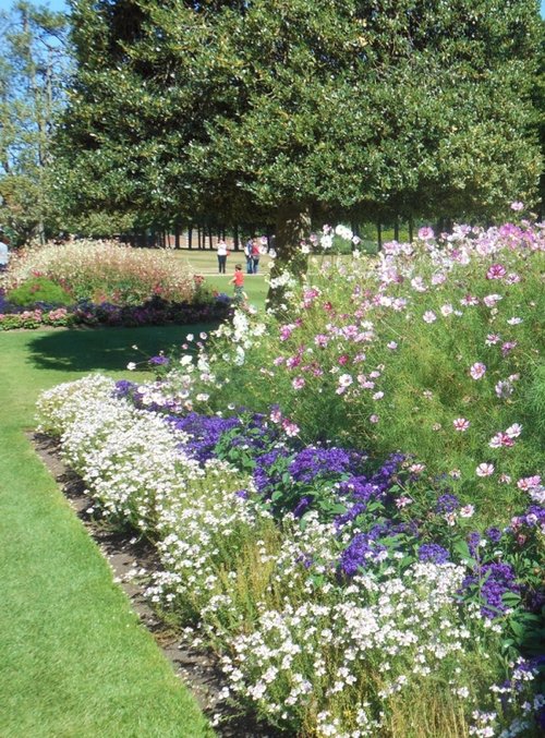 Hampton Court Palace Gardens