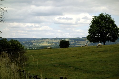 The Cotswolds