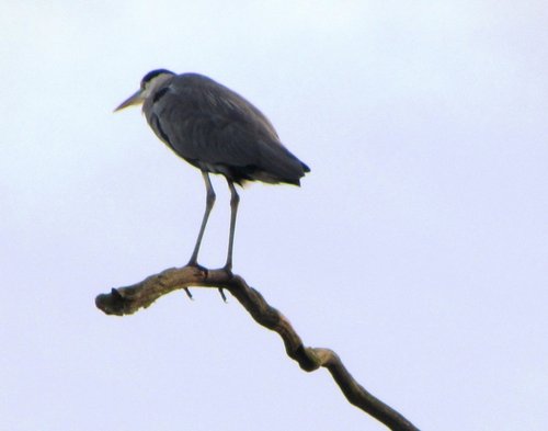 Clumber Country Park