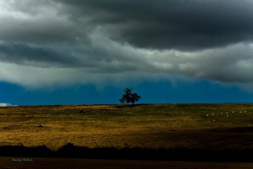Croxdale looking towards Brandon.