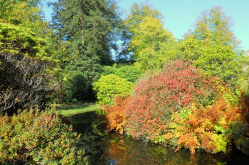 Autumn colours around the lake