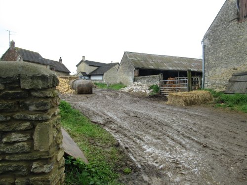 Twywell farm