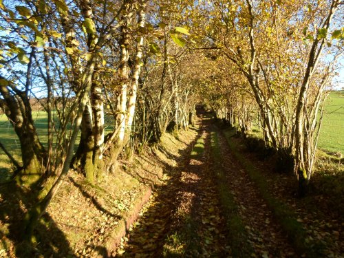 A country lane near Trecastle