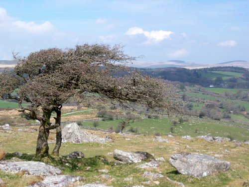 Dartmoor National Park