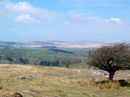 Beautiful Dartmoor