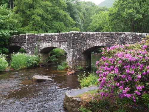 Fingle Bridge, Drewsteignton