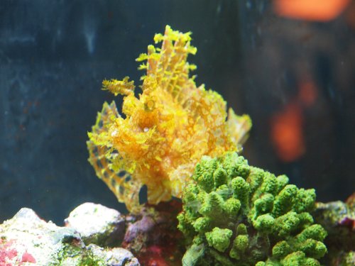 National Marine Aquarium, Plymouth