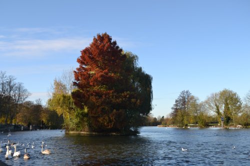 The Thames at Windsor