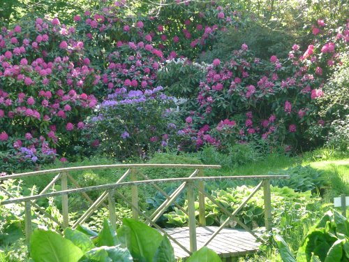 Constable Burton Hall Gardens