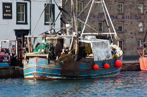 Boat in Eyemouth harbour