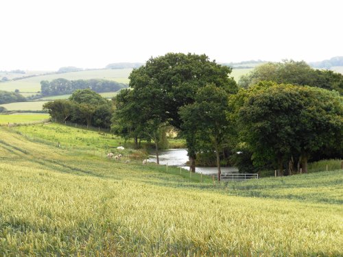 View from a road in Dorset