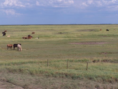 The Wash, Kirton Lincolnshire