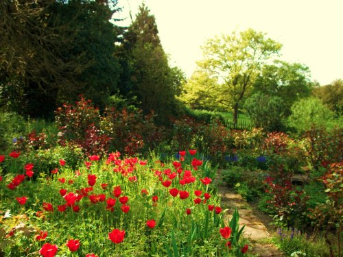 English country garden near Marden, Kent