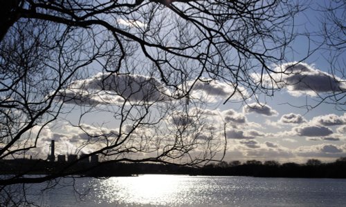 Attenborough Nature Reserve
