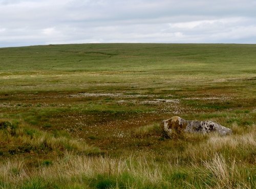 Dartmoor