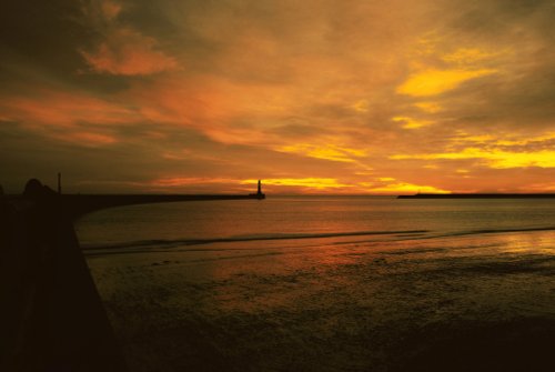 Peace at Roker