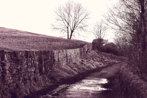 Bleak beauty at Oldham