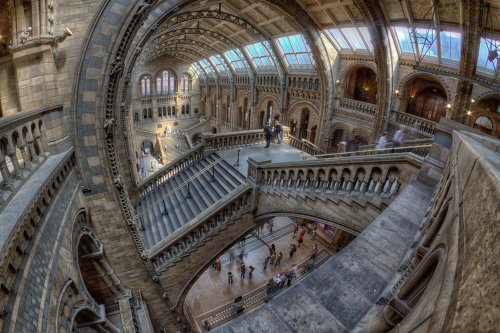 The Natural History Museum, London